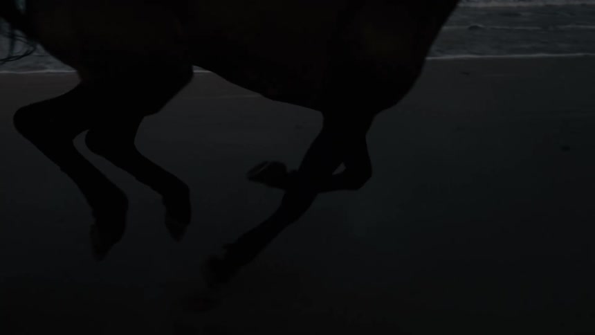 A dark silhouette of a horses legs runs in slow motion across wet sand near the shoreline