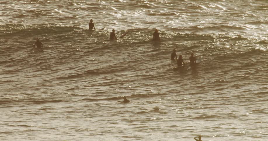 A group of people in the ocean sitting on their surfboards patiently waiting for the next wave under the bright midday sun
