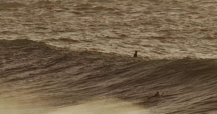 Several surfers are visible in the distance riding the choppy sunlit ocean waves
