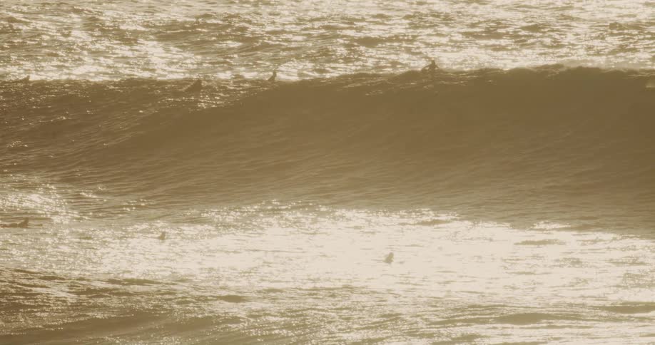 The sunlight shines on the surfers in the water