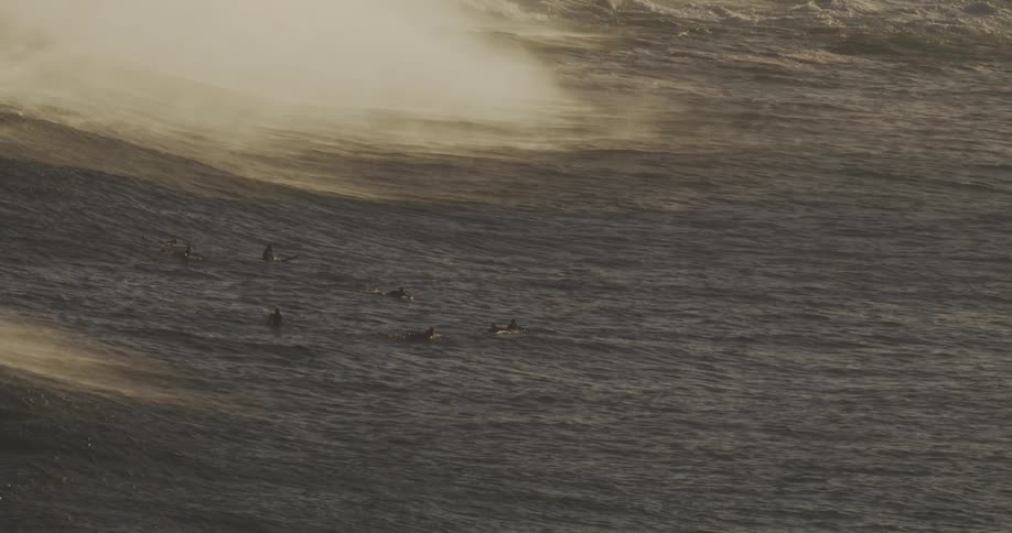 A group of surfers paddle in the ocean with large waves breaking and creating spray in the background