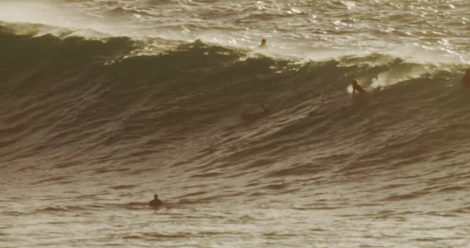 The wave has many surfers on it