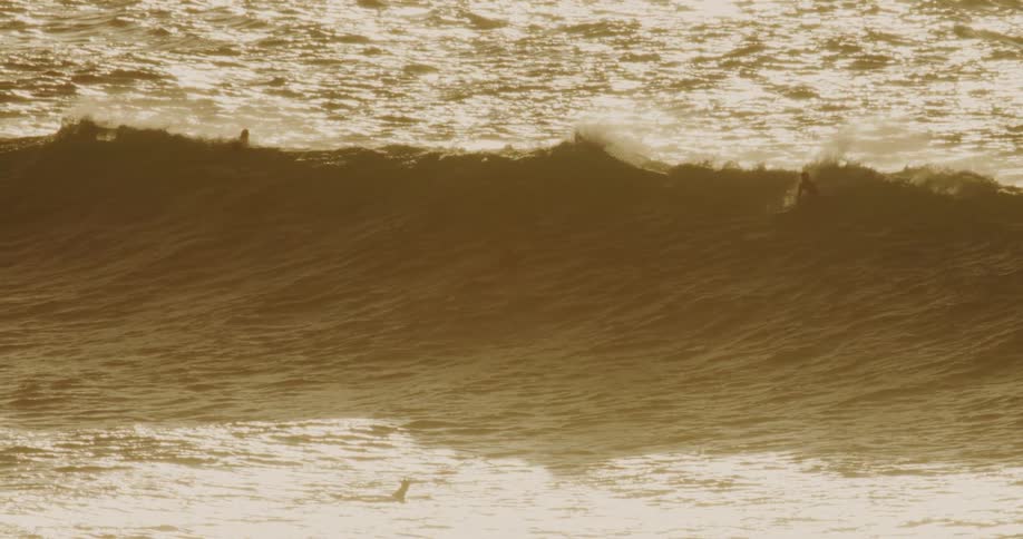 Surfers are in the water in front of and behind a wave as it reaches shore