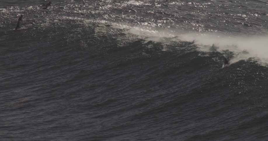 Surfers ride and wait for massive waves in deep open ocean waters