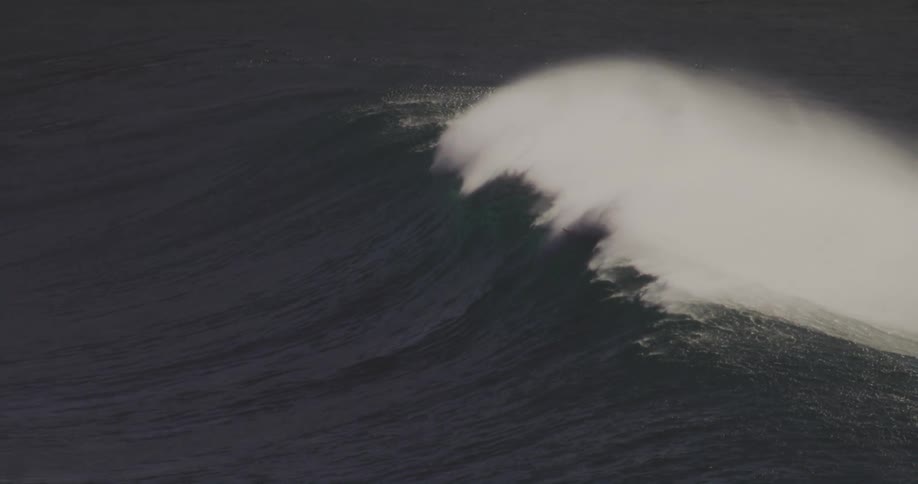 Surfers ride the wave in the ocean