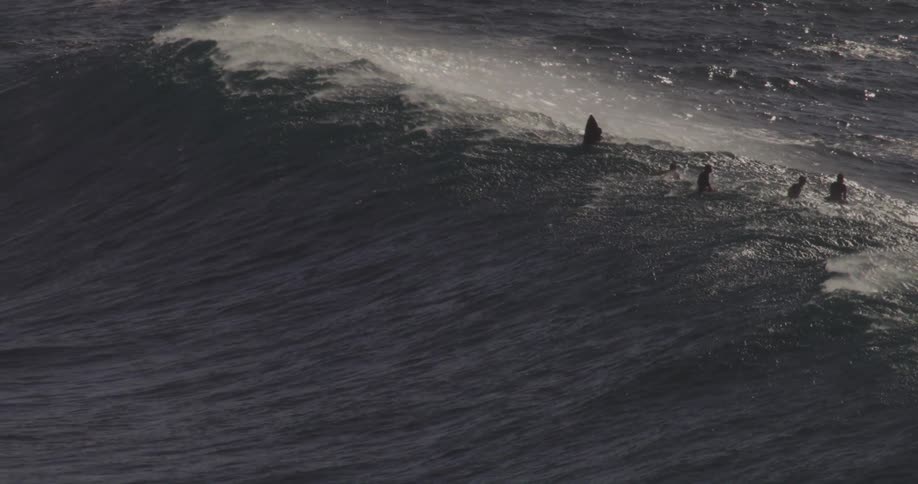 The wave passes by the surfers in the ocean