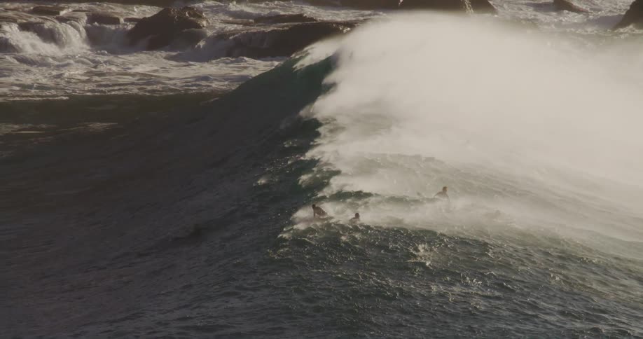 Multiple surfers are riding a wave by the shore