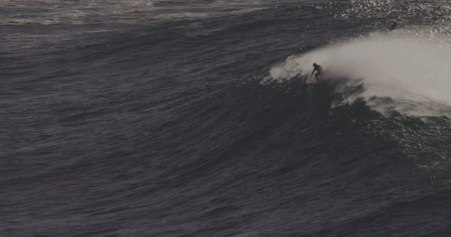 A group of surfers trying to catch a wave