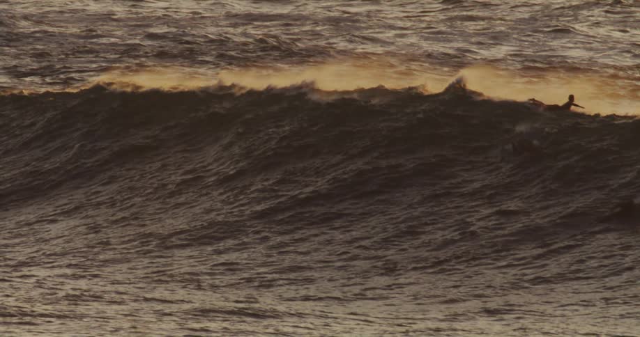 Surfers lying on their surfboards ride over a swelling wave