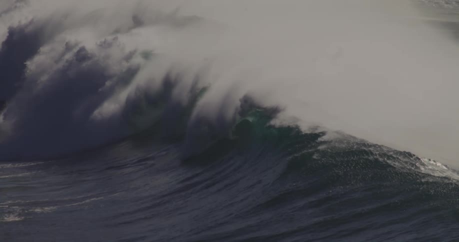 The wave rises and moves along the ocean