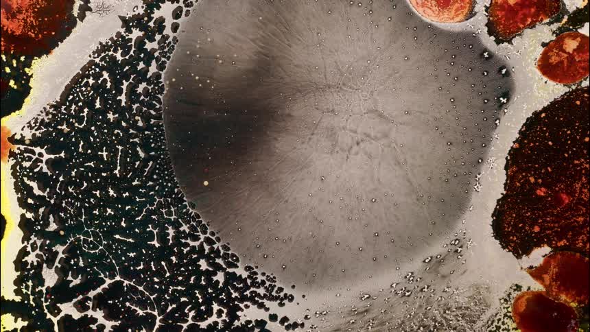 Abstract organic formations with varied textures and colors spread over a smoky gray background