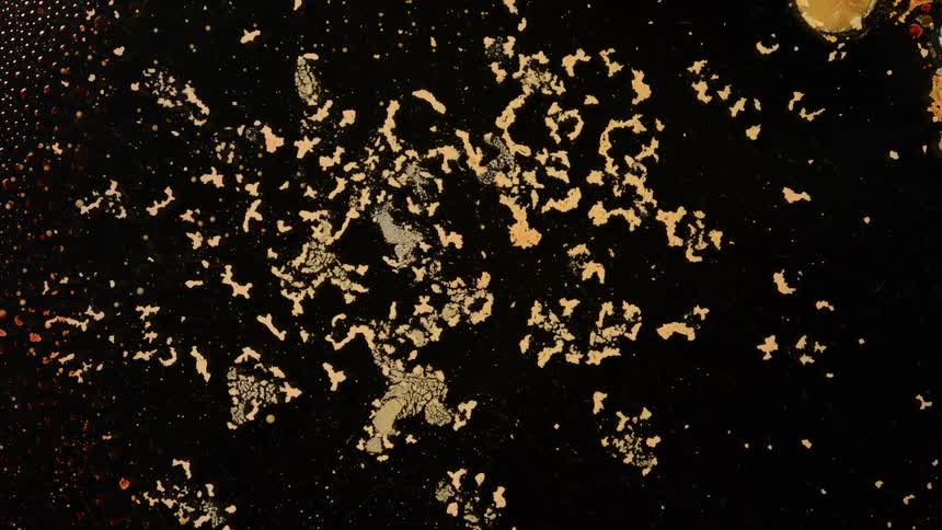 Abstract organic formations with varied textures and colors spread across a black background