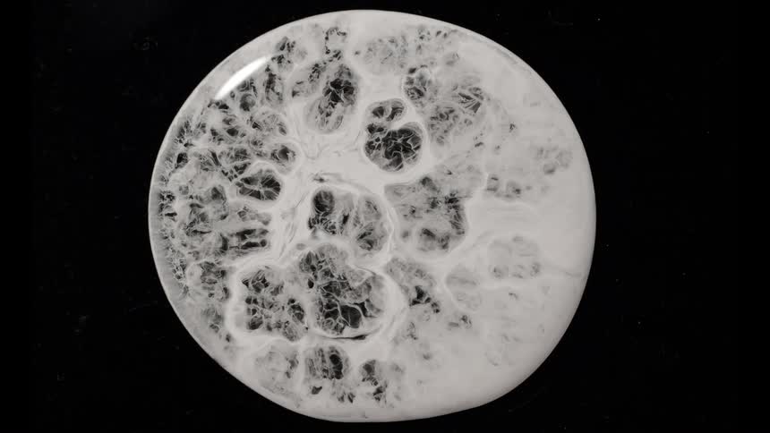 White circle with abstract liquid against a black background