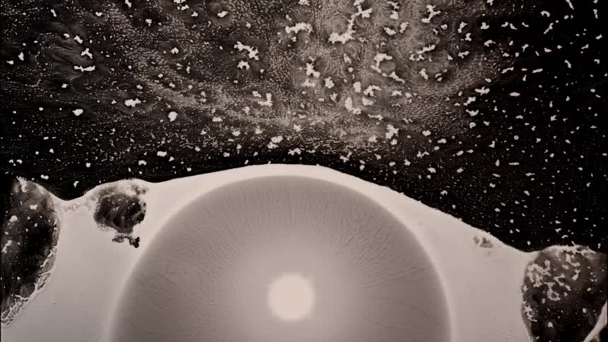 White organic liquid texture in abstract motion against a black background