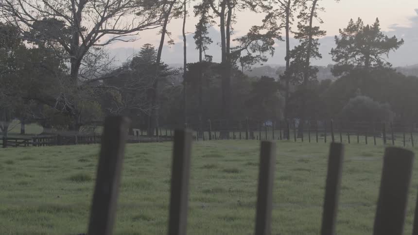Field with wooden fence in an environment with trees in the background