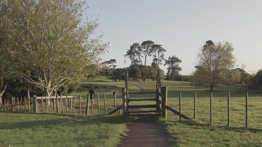 A walker follows a path into a grassy nature area