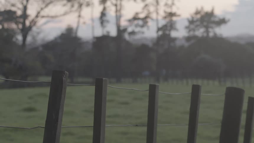 The grass filled area is fenced off on the farm