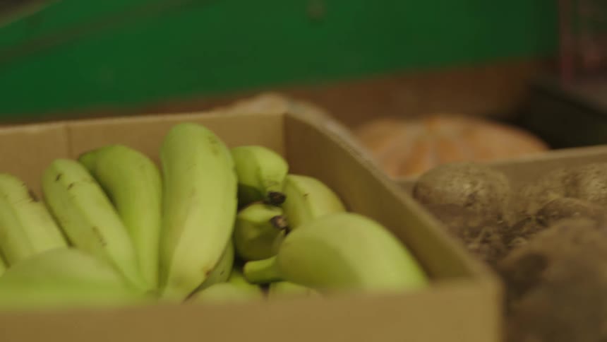 A box full of unripe green bananas is placed on display likely at a market or store