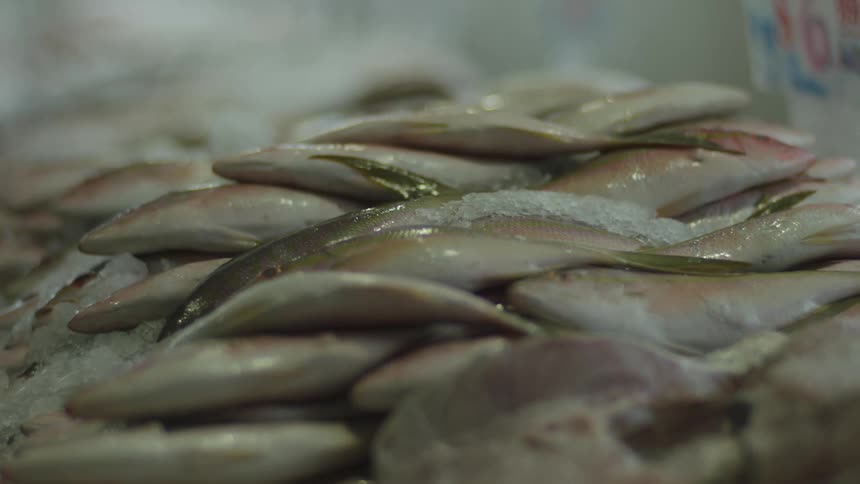 Stacks of fish on ice are for sale in the market