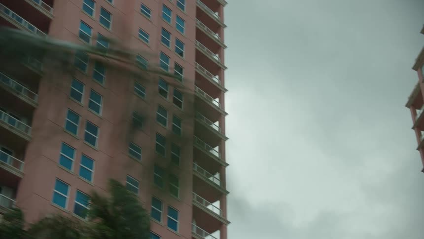 Heavy wind blows the palm trees in front of the resort