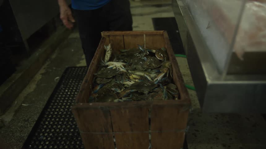 Two people working in a shop selling fresh sea fish