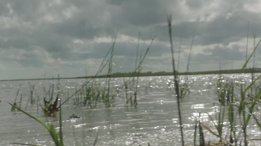 Calm water of a river with vegetation on the horizon