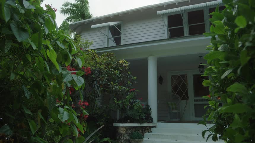 Outside view of a green backyard and a house in the background