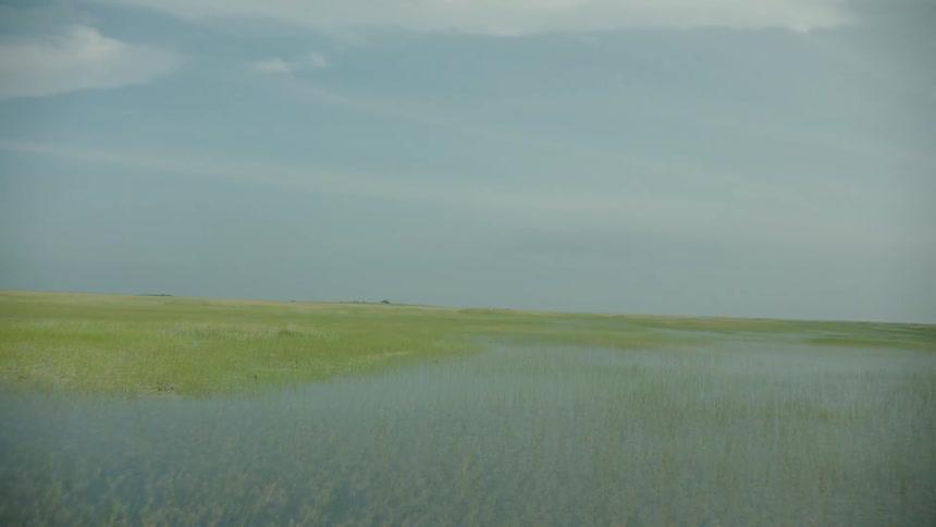 Large green field with water