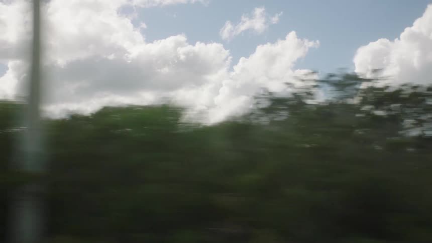 Moving view and vegetation in the foreground against a partly cloudy sky