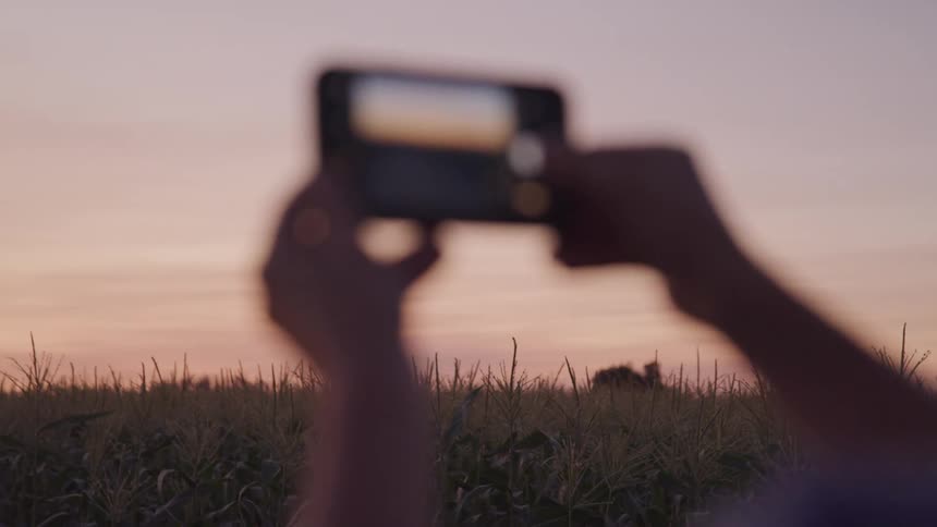 A person taking a photo of the sunset on their phone
