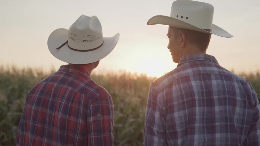Two men stand looking at a field of crops and talking while the sun sets