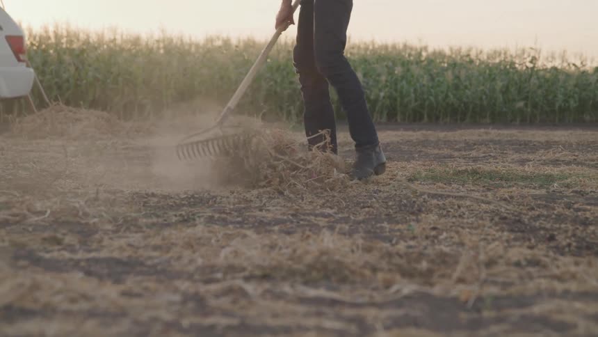Man rakes the ground creating dust while in an area near a field of crops