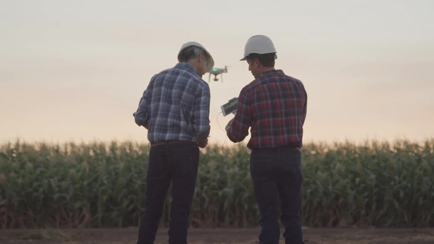 Two men wearing helmets stand in a cornfield viewing drone footage on a mobile device while the drone hovers in midair during daylight