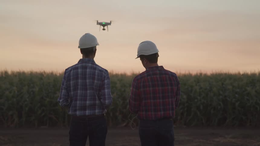 Two men wearing helmets operating a drone over a cornfield at sundown