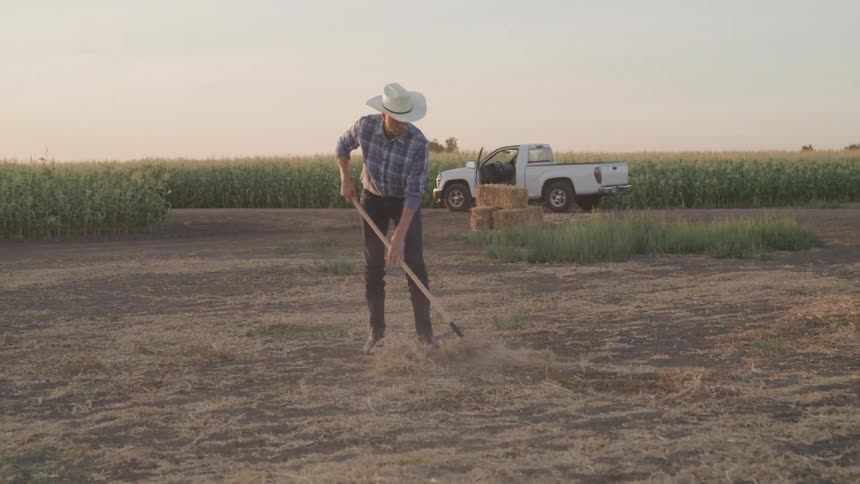 Man in hat weeding in an agricultural area
