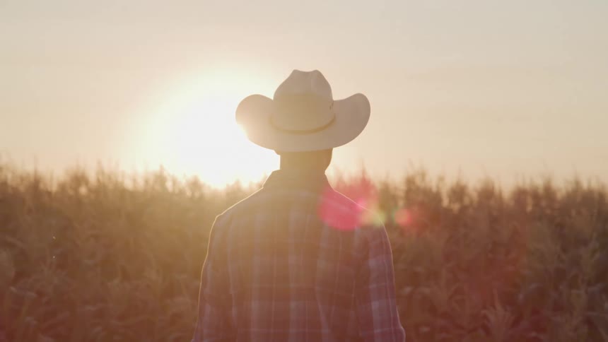 A person wearing a cowboy hat and plaid shirt stands with their back to the viewer facing a sunlit field of tall crops at sunset