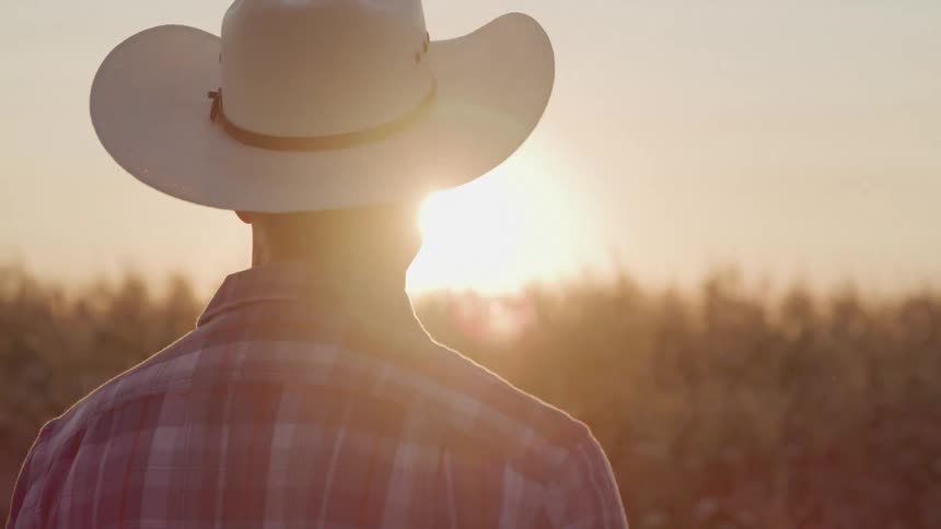 A person wearing a cowboy hat and plaid shirt stands with their back to the viewer facing a sunlit field of tall crops at sunset