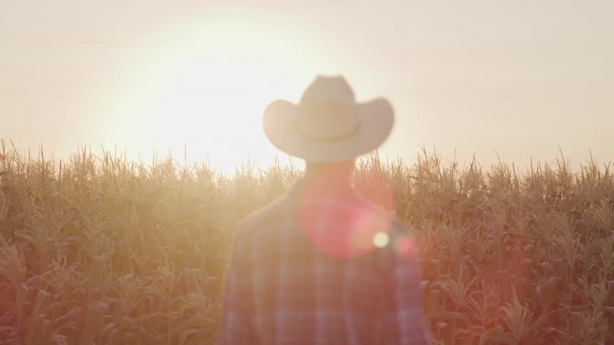 A man standing with a cowboy hat looking at the sun