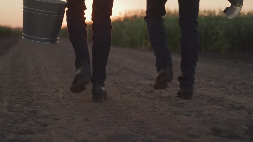 Two men are walking on a path through the farm