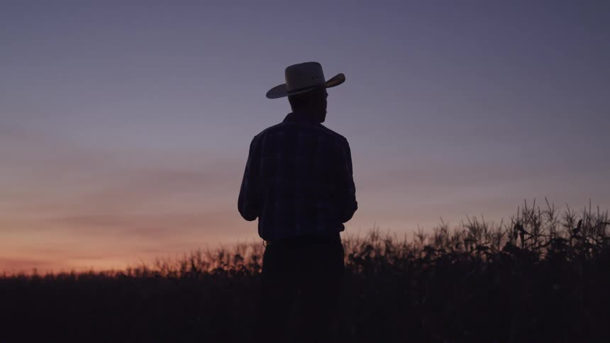 Man inspects a rural farm area while standing outdoors at dusk