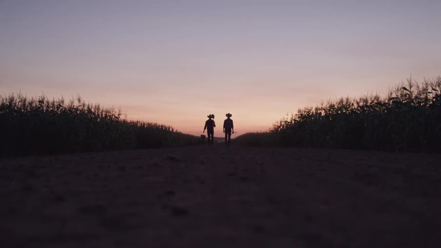 Two farmers walk past the crops on a farm