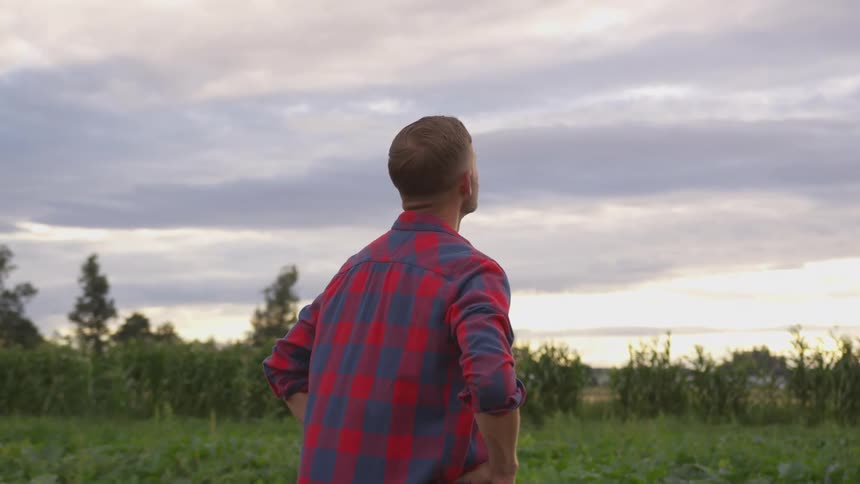 A person in a red and blue plaid shirt stands facing away from the viewer in a field of green plants under a cloudy sky