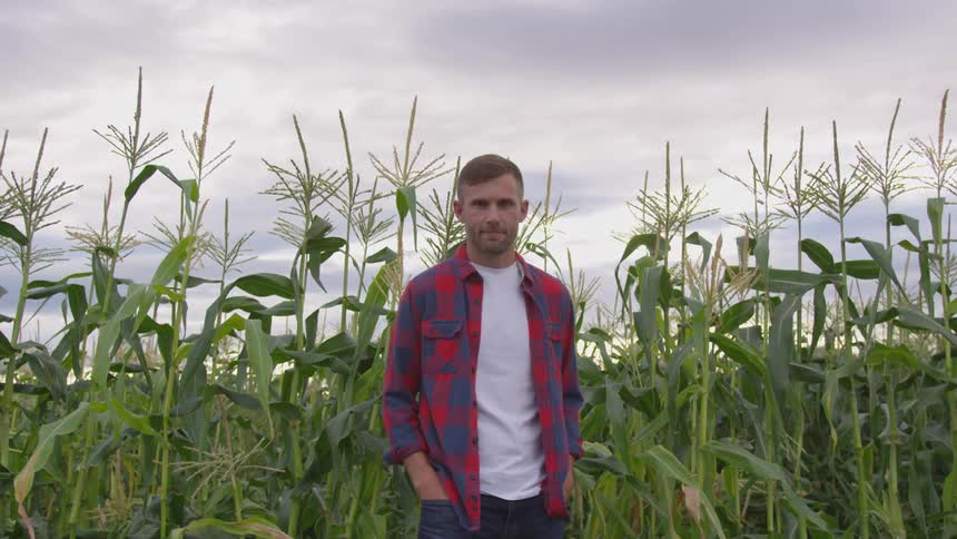 A young man with short brown hair and a beard stands in a cornfield while wearing a red and blue plaid shirt over a white tshirt and blue jeans