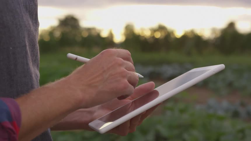 A person stands in a field and writes on a tablet