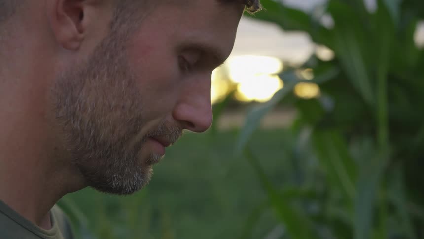 A bearded man with short hair is looking down his face partially obscured by shadow with the bright light of the setting sun and blurred green foliage in the background