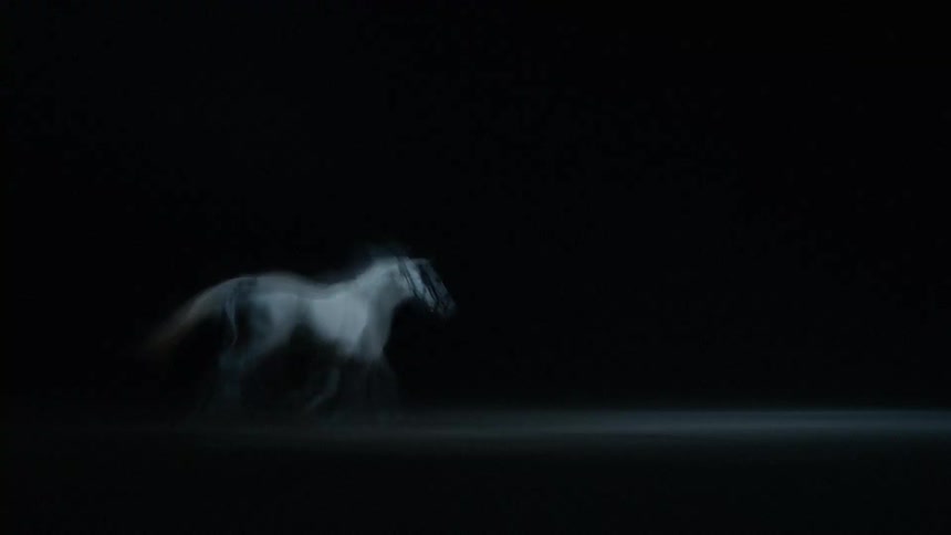 White horse in motion against an abstract black background