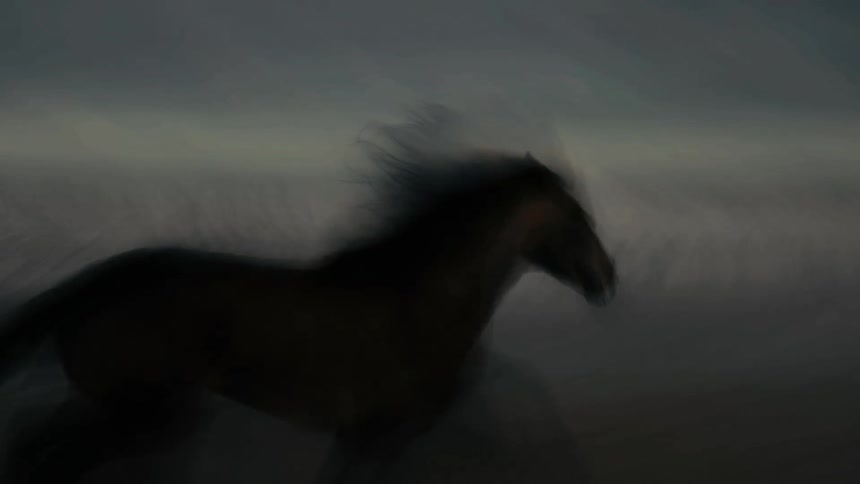 A colt galloping across the beach sand on a cloudy evening