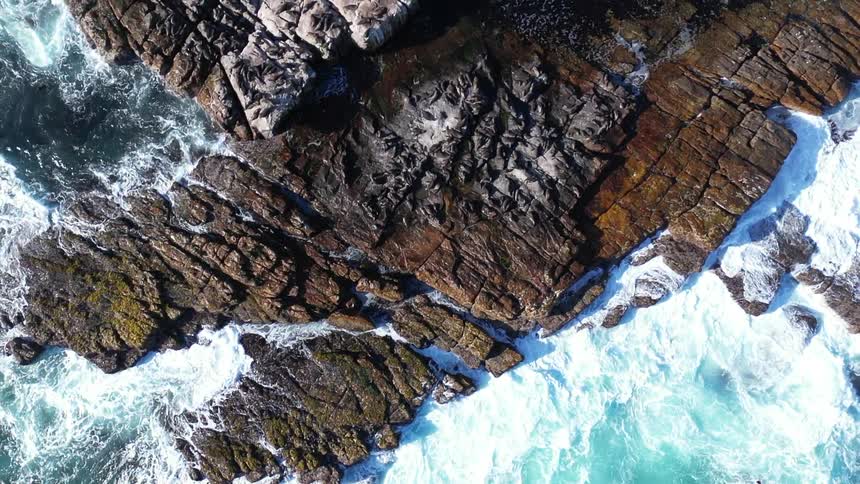 Aerial view of rugged coastal rocks being hit by turquoise ocean waves with dozens of sea lions resting on the rocks below