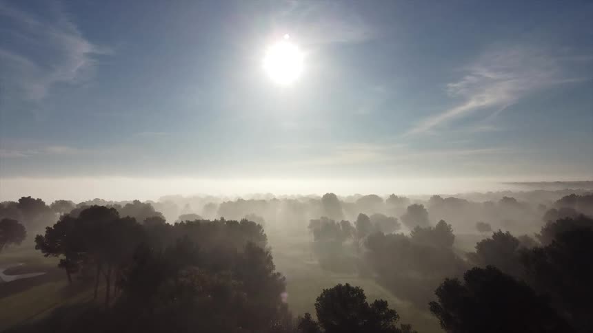 Aerial view of a foggy forest at dawn with sunlight streaming through the mist
