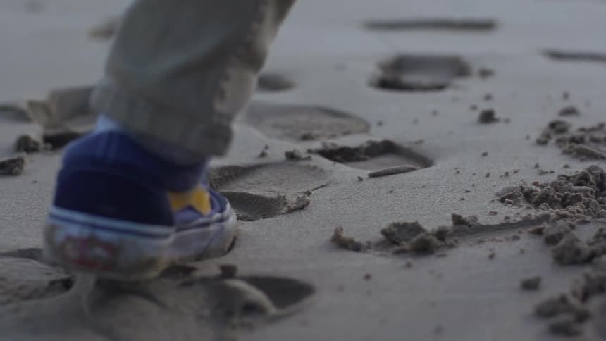 A person stands on the beach in sneakers and khakis while holding a walking stick